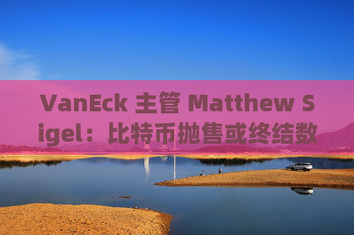 VanEck 主管 Matthew Sigel：比特币抛售或终结数字资产财务公司热潮
