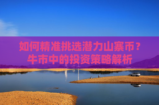 如何精准挑选潜力山寨币？牛市中的投资策略解析