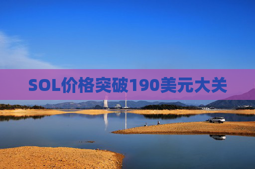 SOL价格突破190美元大关