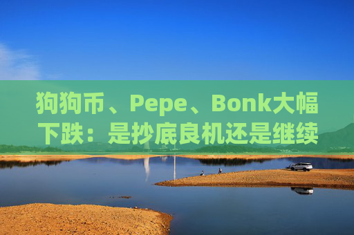狗狗币、Pepe、Bonk大幅下跌:是抄底良机还是继续观望?