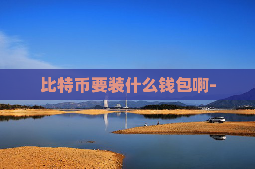 比特币要装什么钱包啊-
