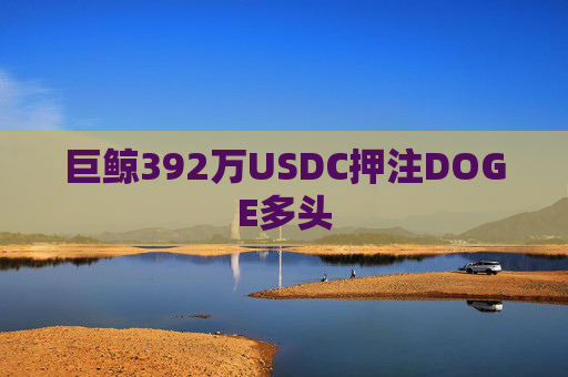 巨鲸392万USDC押注DOGE多头