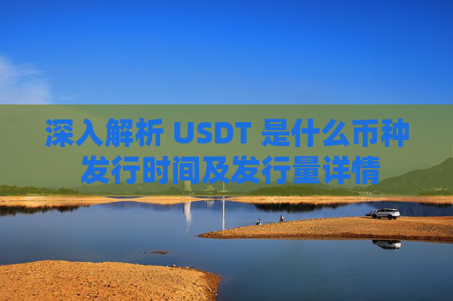 深入解析 USDT 是什么币种 发行时间及发行量详情