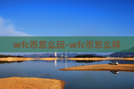 wfc币怎么玩-wfc币怎么样