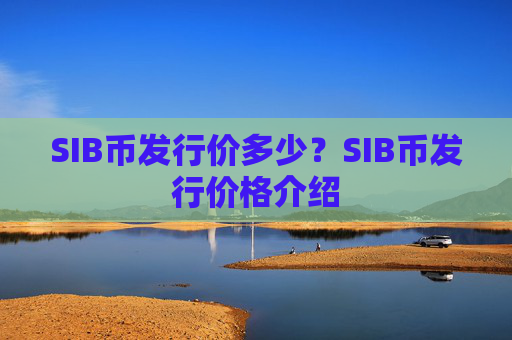 SIB币发行价多少?SIB币发行价格介绍