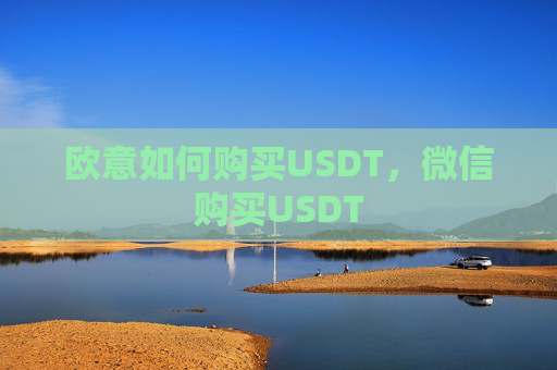 欧意如何购买USDT，微信购买USDT