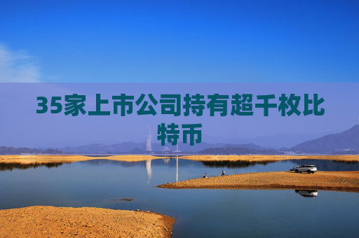 35家上市公司持有超千枚比特币
