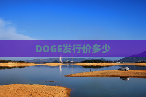 DOGE发行价多少