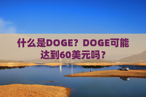 什么是DOGE?DOGE可能达到60美元吗?