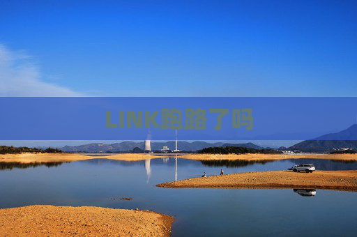 LINK跑路了吗