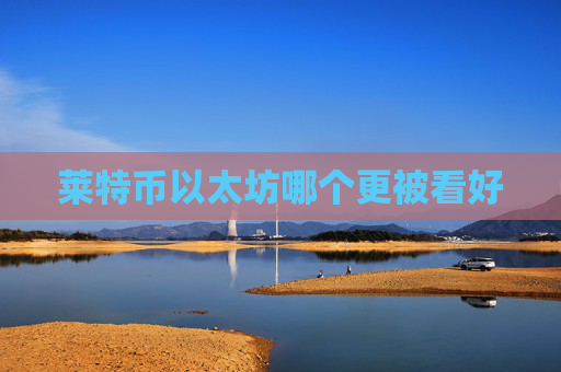 莱特币以太坊哪个更被看好