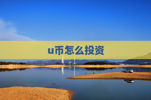 u币怎么投资