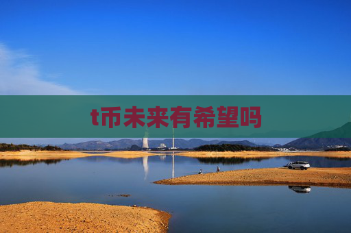 t币未来有希望吗