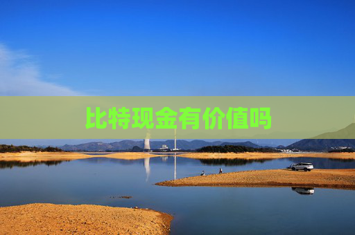 比特现金有价值吗