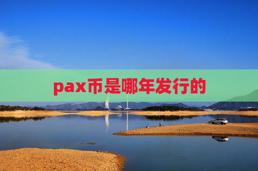 pax币是哪年发行的