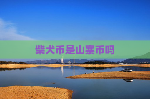 柴犬币是山寨币吗