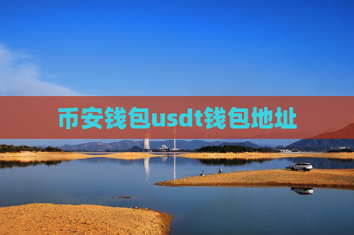 币安钱包usdt钱包地址