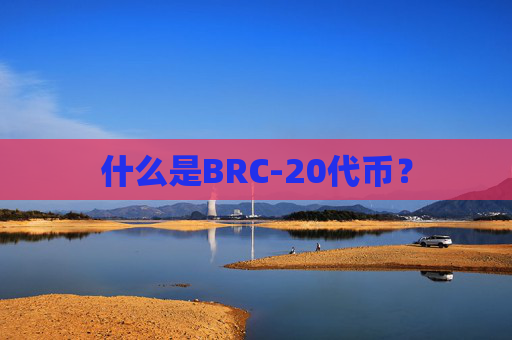 什么是BRC-20代币?