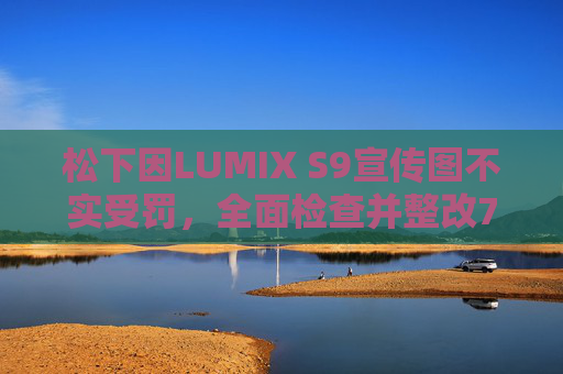 松下因LUMIX S9宣传图不实受罚,全面检查并整改77款相机镜头页面