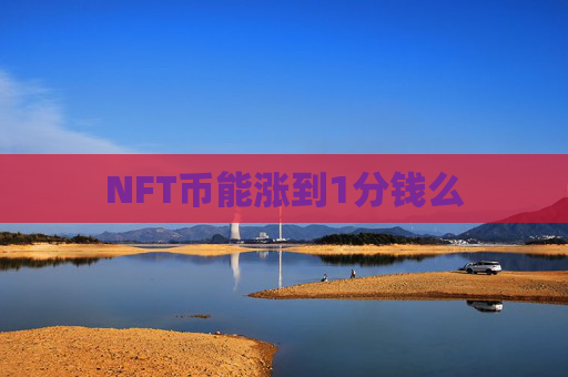 NFT币能涨到1分钱么