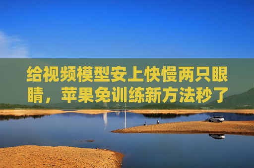 给视频模型安上快慢两只眼睛,苹果免训练新方法秒了一切SOTA
