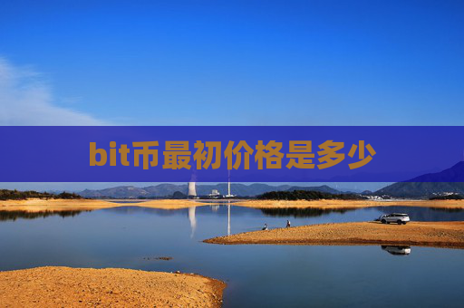 bit币最初价格是多少