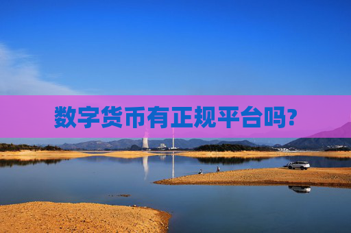 数字货币有正规平台吗?