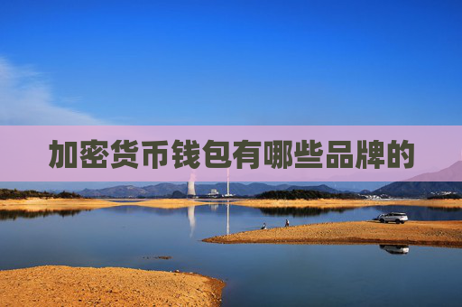 加密货币钱包有哪些品牌的