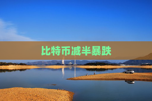 比特币减半暴跌