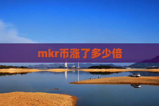 mkr币涨了多少倍