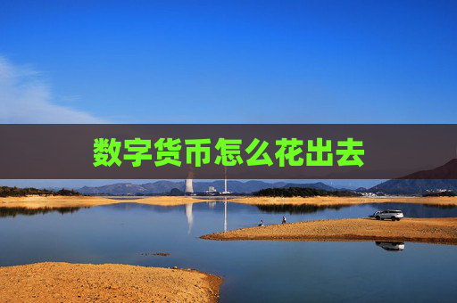 数字货币怎么花出去
