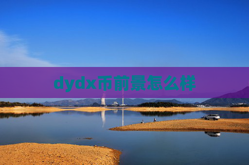 dydx币前景怎么样