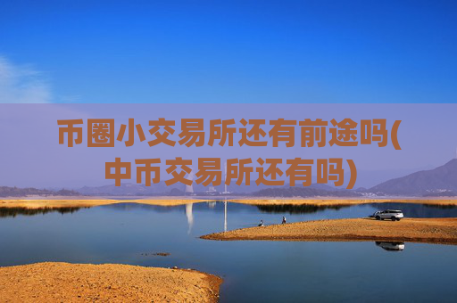 币圈小交易所还有前途吗(中币交易所还有吗)