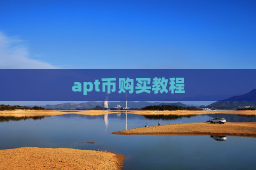 apt币购买教程