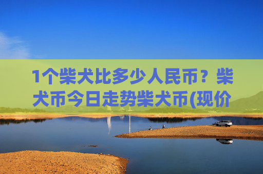 1个柴犬比多少人民币?柴犬币今日走势柴犬币(现价0.00016077元)