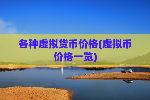 各种虚拟货币价格(虚拟币价格一览)