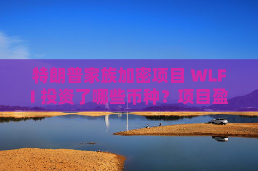 特朗普家族加密项目 WLFI 投资了哪些币种？项目盈利状况如何？
