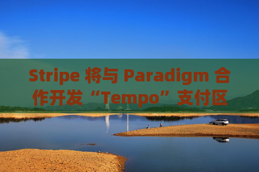 Stripe 将与 Paradigm 合作开发“Tempo”支付区块链:财富中文网