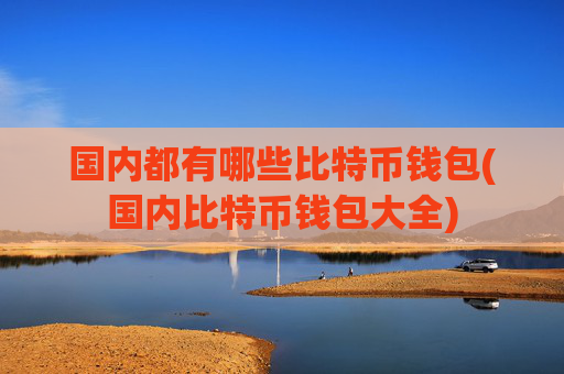 国内都有哪些比特币钱包(国内比特币钱包大全)