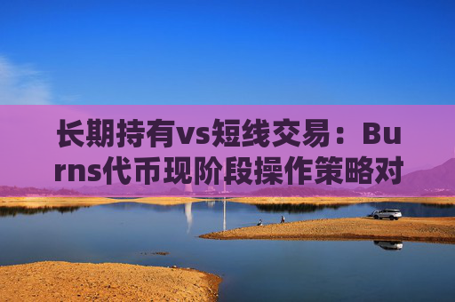 长期持有vs短线交易:Burns代币现阶段操作策略对比