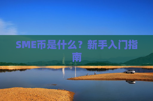 SME币是什么?新手入门指南