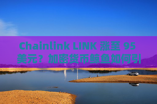 Chainlink LINK 涨至 95 美元?加密货币鲸鱼如何引发反弹