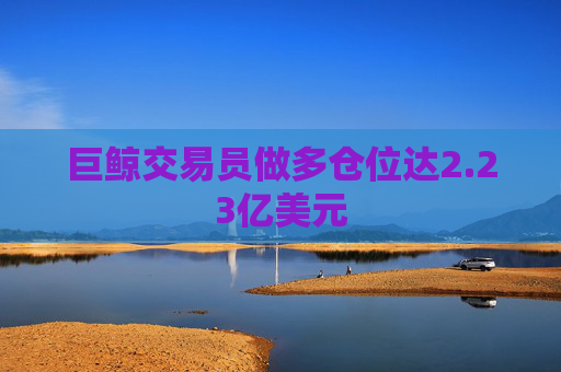 巨鲸交易员做多仓位达2.23亿美元