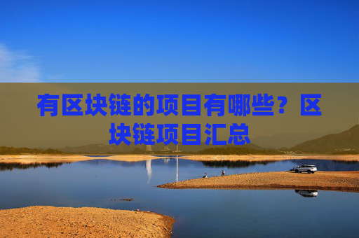 有区块链的项目有哪些?区块链项目汇总