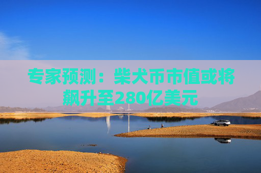 专家预测：柴犬币市值或将飙升至280亿美元