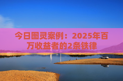 今日图灵案例:2025年百万收益者的2条铁律