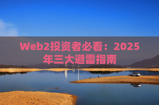 Web2投资者必看：2025年三大避雷指南
