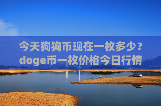 今天狗狗币现在一枚多少?doge币一枚价格今日行情(现价2.3507元)