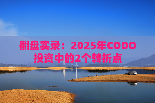 翻盘实录:2025年CODO投资中的2个转折点