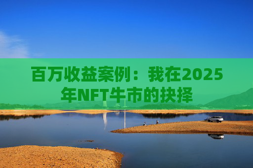 百万收益案例:我在2025年NFT牛市的抉择